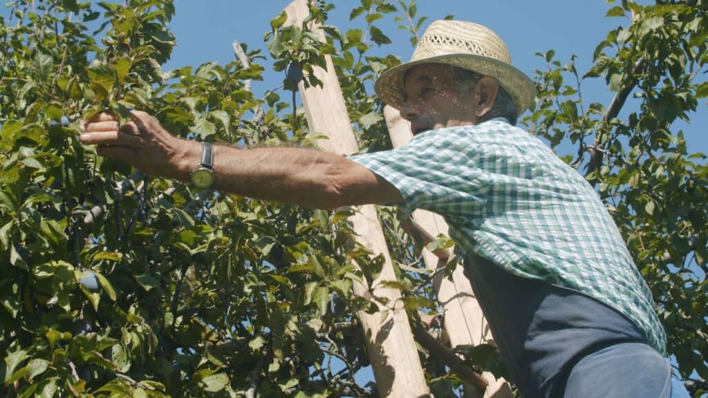 Filmchronisten Dokumentation "Heisse Häuser. Traditionelle Dörrhäuser in Hofstetten-Grünau."